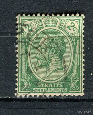 Британские колонии - Стрейтс-Сетлментс - 1921/1927 - Король Георг V 2С - [Mi.163] - 1 марка. Гашеная.  (Лот 16HJ)-T41P50