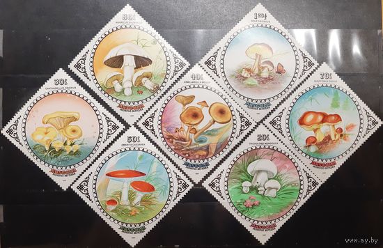 Монголия. 1985 год. Флора. Грибы (957)