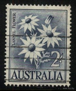 Австралия - 1959 [Mi. 299] Гашеная (AU05)