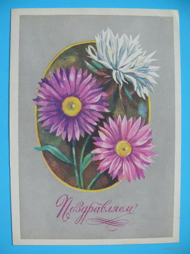 Панченко Т., Поздравляем, 1978, 1979, чистая.