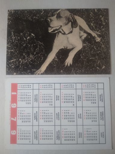 Карманный календарик. Собака.1979 год