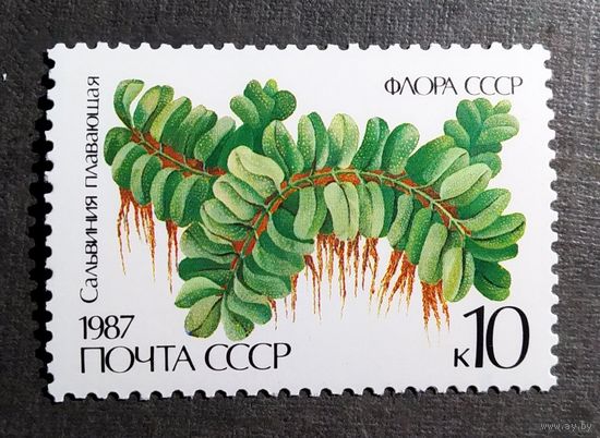 Марка СССР 1987 год Папоротник