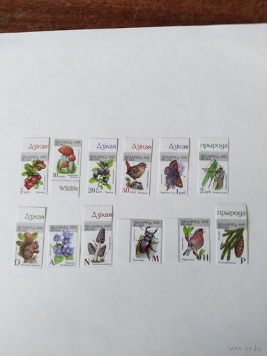 Беларусь  2025  12 м   стандарт