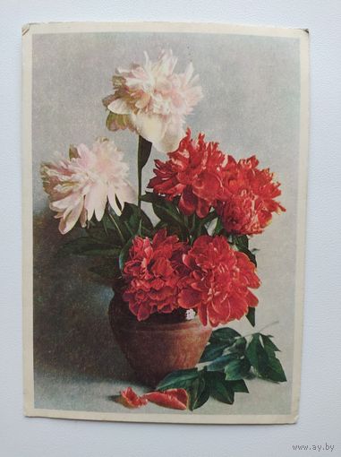 Открытка. Цветное фото Аполлона Шерстнева. 1958 год. Подписана!