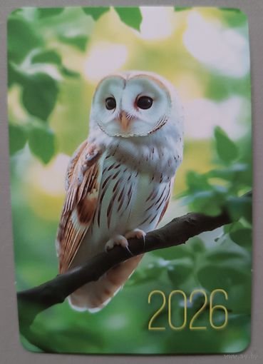 Сова. Календарик, 2026