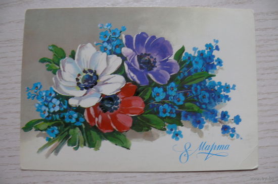 Куртенко Г., 8 Марта; 1984, подписана.