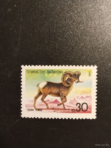 Таджикистан  1992