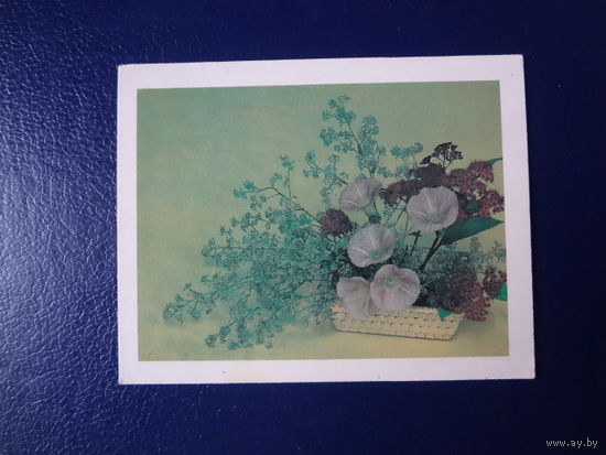 Летний букет.  1982 г.  мини.