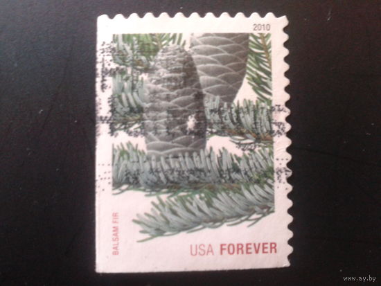 США 2010 Рождество