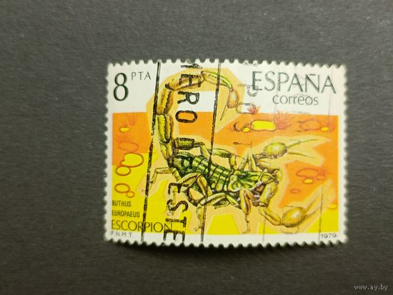 Испания 1979. Беспозвоночные