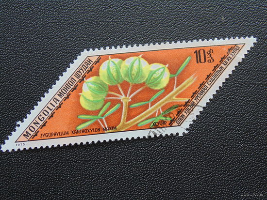 Монголия 1975 г. Флора.