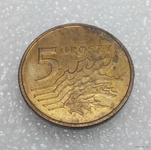 5 грошей 2011 Польша #01