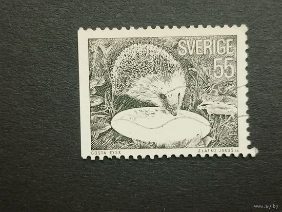 Швеция 1975. Ежик