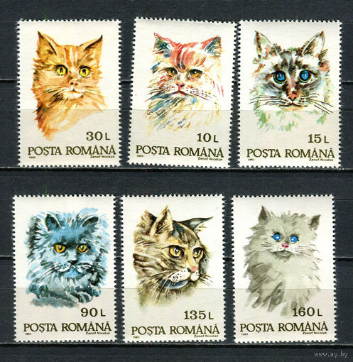 Румыния - 1993 - Коты - [Mi. 4885-4890] - полная серия - 6 марок. MNH.  (Лот 43Jp)-T4P17