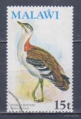 [2412] Малави 1975. Фауна.Птицы.Дрофа. Гашеная марка.