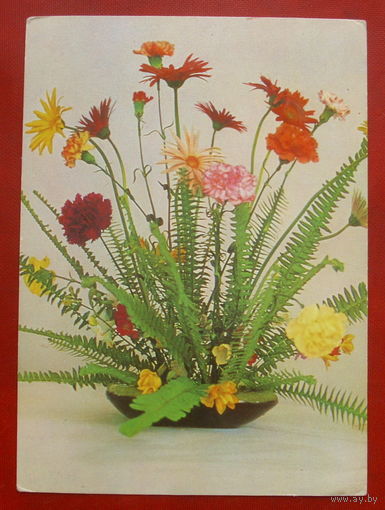Цветы. Чистая. 1986 года. Фото Богданова. 1880.
