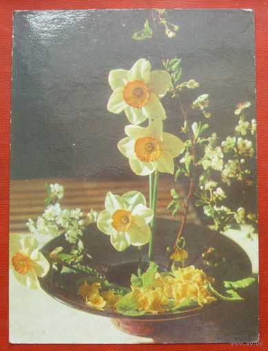 Цветы. Чистая. 1978 года. " Минтис ". *244.