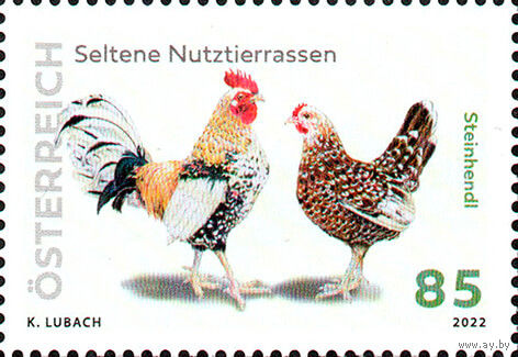 Редкие породы домашних птиц Австрия 2022 год серия из 1 марки