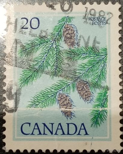 Канада 1982. Сосна