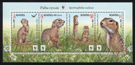2015_Крапчатый суслик.
