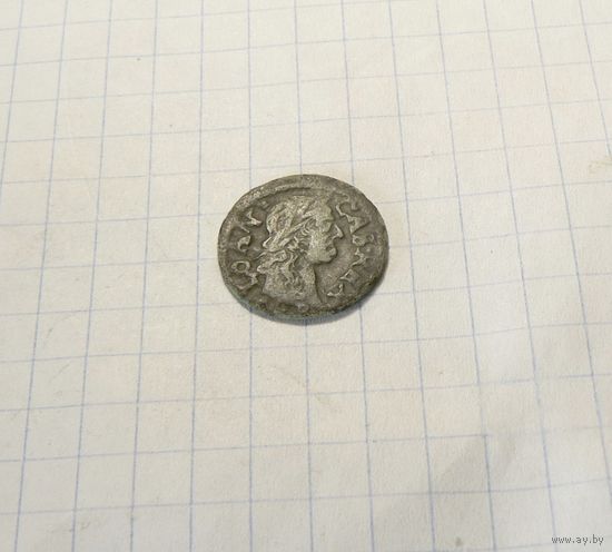 Боратинка 1666