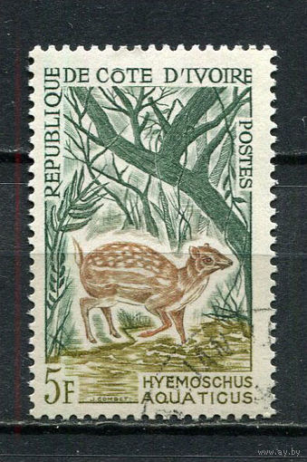 Кот-д 'Ивуар - 1964 - Фауна. Водяной оленёк 5F - [Mi.262] - 1 марка. Гашеная.  (Лот 23HB)-T4P48