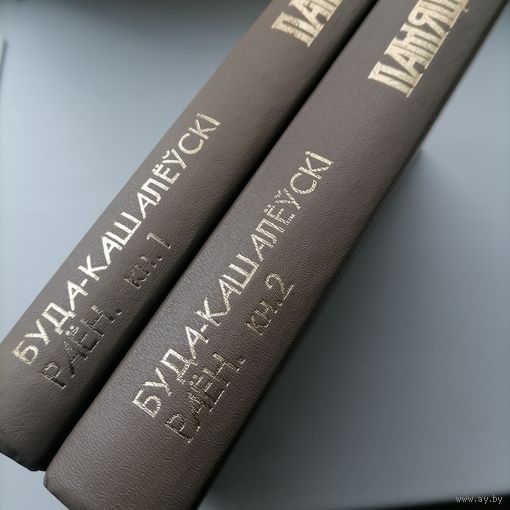 Книга память  Буда-кошелевский р-н. 1-2т.