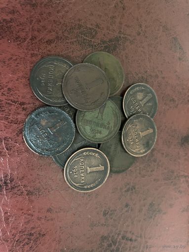 Монеты 1 коп 1924 на грунт и разновидности не перебирались