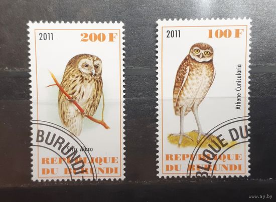 Бурунди. 2011 год. Фауна. Птицы (393)