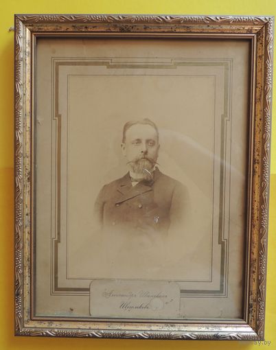 Фото большое в старинной рамке "Советник А.И.Щеголев", до 1917 г. (20*15 см без паспарту)