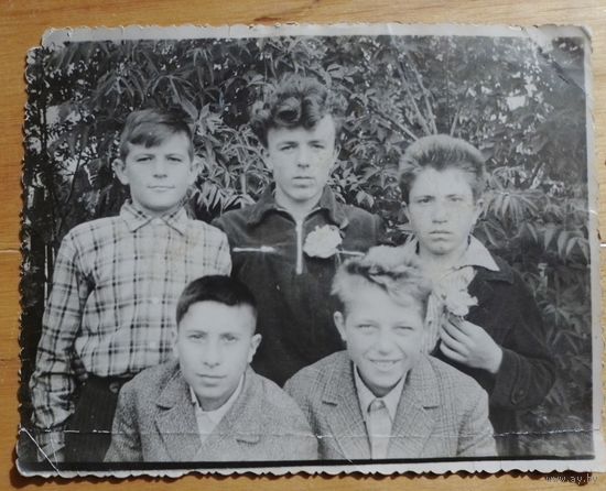 Фото в коллекцию