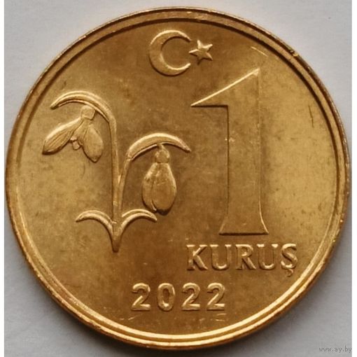 Турция 1 куруш, 2022 UNC