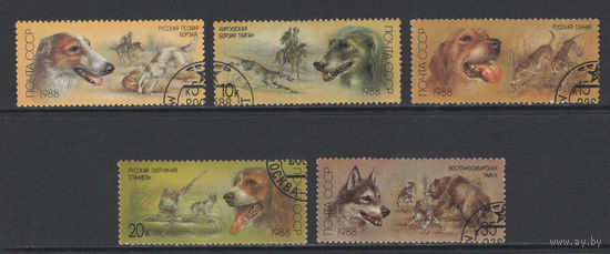 Фауна Собаки СССР 1988 Породы охотничьих собак Охота Used
