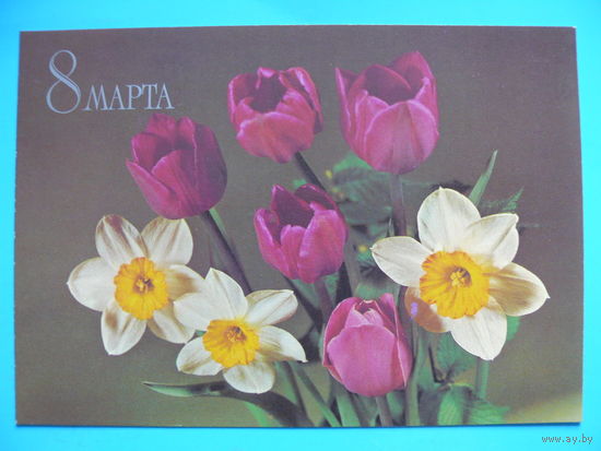 Круцко Б.(фото), 8 Марта, 1982, чистая.