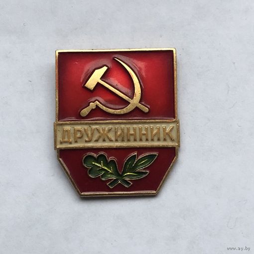 Дружинник