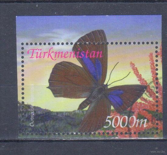 [1801] Туркменистан 2002. Фауна.Насекомые.Бабочка. Гашеная марка из блока.