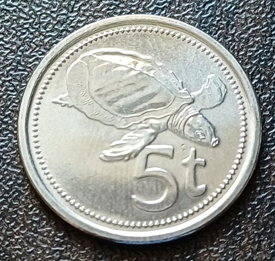 Папуа - Новая Гвинея 5 тойя, 2005    ( 1-1-8 )