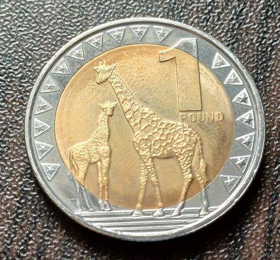 Южный Судан 1 фунт, 2015    ( 1-10-5 )