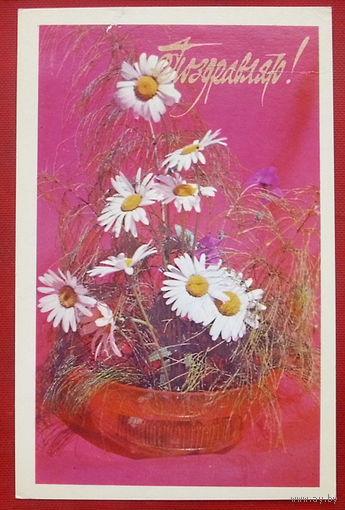 Поздравляю! Подписанная. 1977 года. Фото Бурова. 445.
