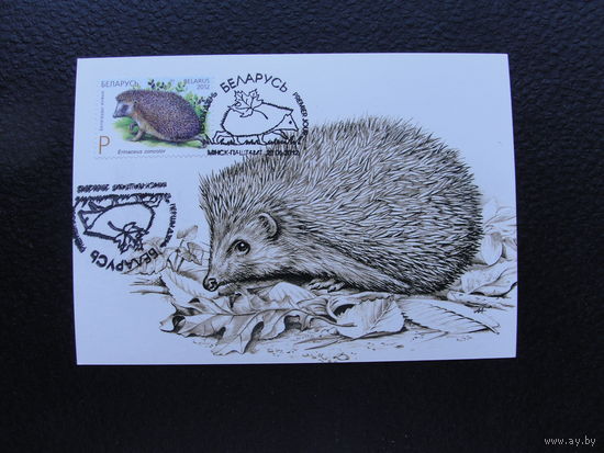 Продажа коллекции с 1 рубля! КПД Беларуси.