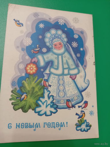 С Новым годом!Комарова