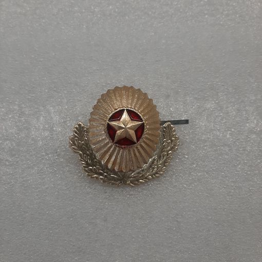 Кокарда ВС РБ, Беларусь, офицерская, капуста, #4