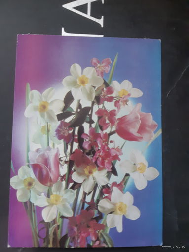 Костенко Цветы