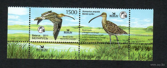 Беларусь. 2011. Птица год. Марка с купоном