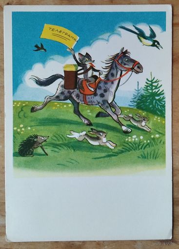 Сутеев В. Телеграмма. 1968 г. Чистая.