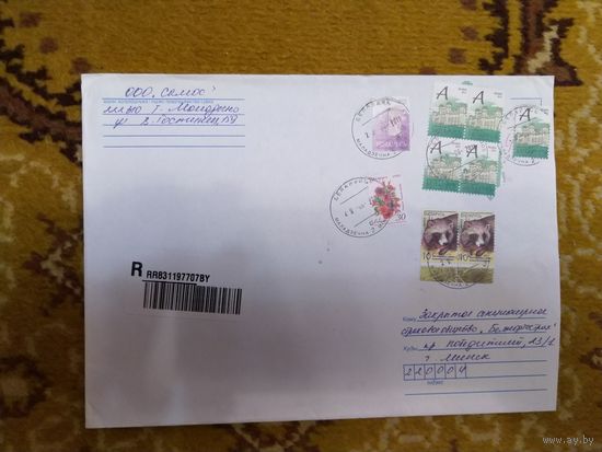 Беларусь конверт с редким зубцовым стандартом архитектура флора фауна цветы