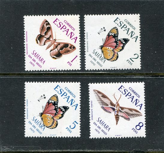Испанская Сахара. Фауна. Бабочки
