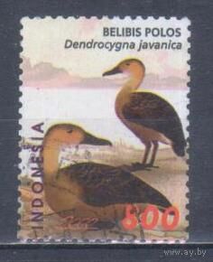 [737] Индонезия 2000. Фауна.Птицы.Утки.800р. Гашеная марка.
