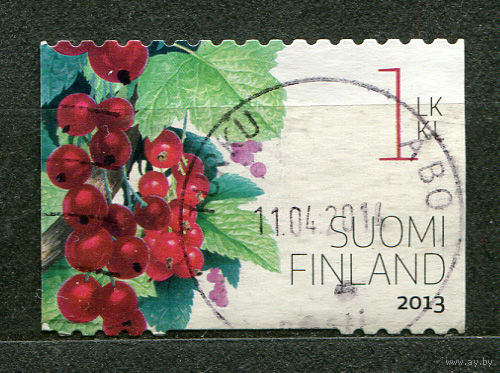 Красная смородина. Финляндия. 2013