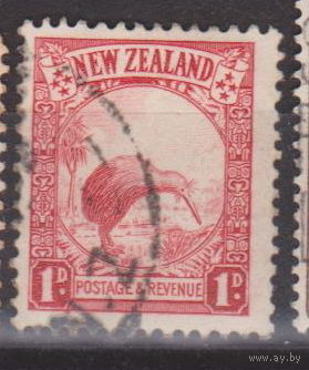 Киви фауна Новая Зеландия 1935 или 1936 год  лот 9